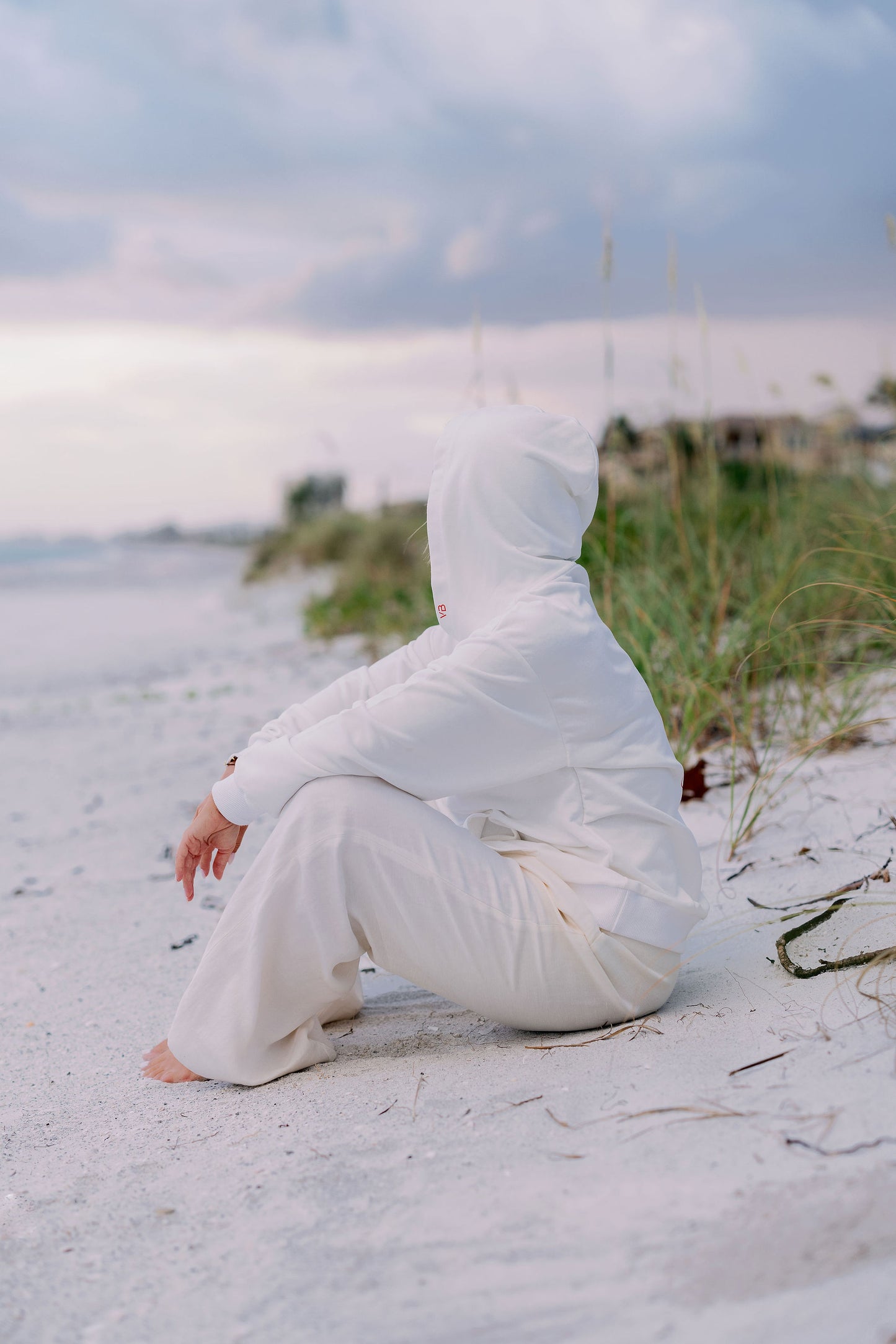 Oversized VB Logo Milk Hoddie